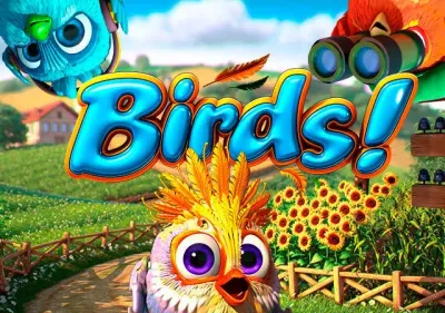 Birds thumbnail